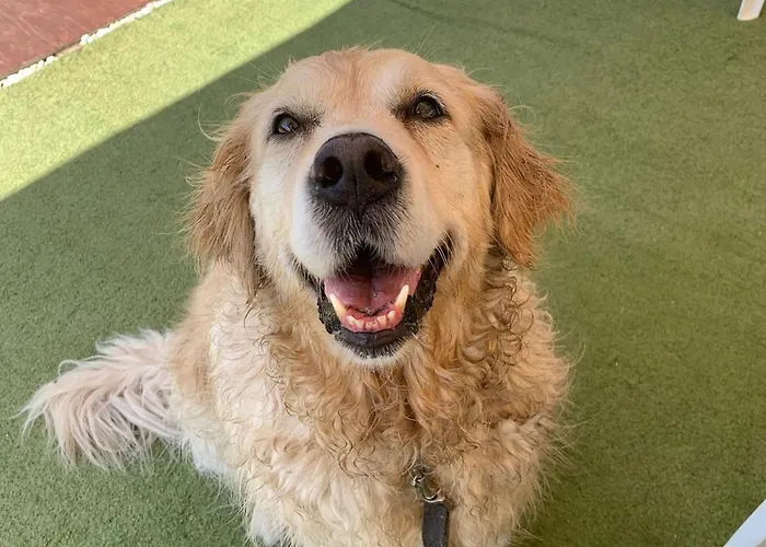 Apartment Studio_suite05 *